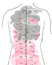 Cluneal Nerve Blocks & RFTC